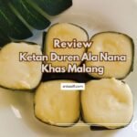 Harga ketan durian ala nana yang cocok untuk khas oleh-oleh dari Malang sekitar 28 ribu per boks