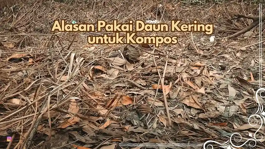Alasan memakai daun kering untuk membuat kompos