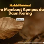 Cara mudah membuat kompos dari daun kering