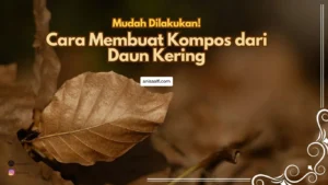 Cara mudah membuat kompos dari daun kering