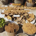 Pengertian pupuk kompos lengkap dengan manfaatnya untuk lingkungan