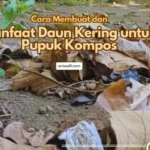 Daun kering mengandung unsur Nitrogen yang dibutuhkan dalam pertumbuhan tanaman, oleh karena itu bermanfaat untuk dijadika kompos
