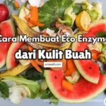 kulit buah bisa dijadikan eco enzyme, ini cara mudahnya hanya dengan memasukkan ke dalam wadah