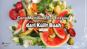 kulit buah bisa dijadikan eco enzyme, ini cara mudahnya hanya dengan memasukkan ke dalam wadah