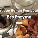 alat dan bahan pembuatan eco enzyme ada timbangan dan gula merah