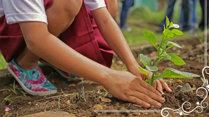 Eco enzyme dapat menyuburkan tanaman dan menjaga tanah dari penggunaan pupuk kimia