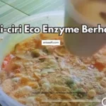 Ciri-ciri ezo enzyme yang berhasil diantaranya aromanya asam segar, dan warnanya cokelat