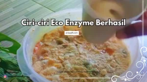 Ciri-ciri ezo enzyme yang berhasil diantaranya aromanya asam segar, dan warnanya cokelat