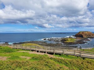 Ilustrasi Phillip Island/Pixabay/ picvern57