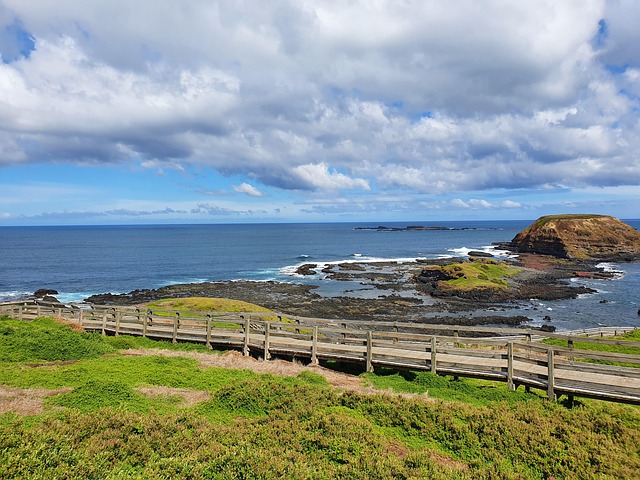 Ilustrasi Phillip Island/Pixabay/ picvern57